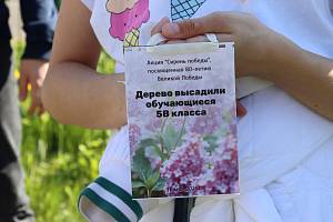 Всероссийская патриотическая акция «Сирень Победы»
